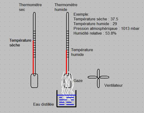 Humidimètre / Hygromètre : Fonctionnement et explications (humidité  ascentionnelle) 